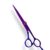Plasma Coated, Purple Colour Finish